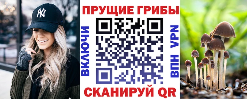 Галлюциногенные грибы мицелий  где купить наркотик  Анива 